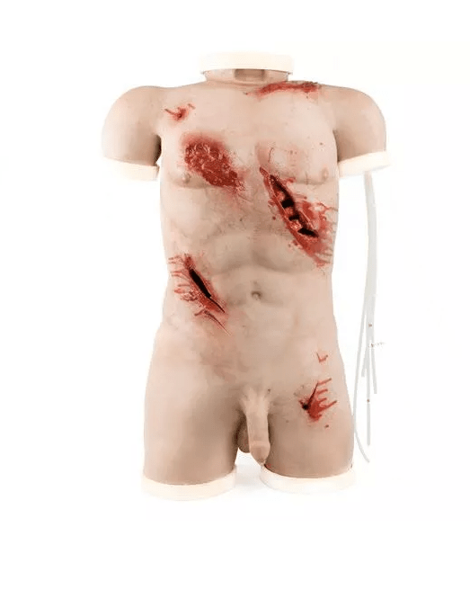Trauma Training Torso - Erler - Zimmer